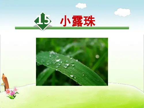 苏教版三年级语文上册《15.小露珠》课件