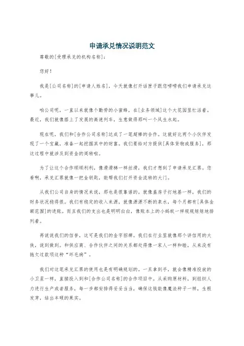 申请承兑情况说明范文
