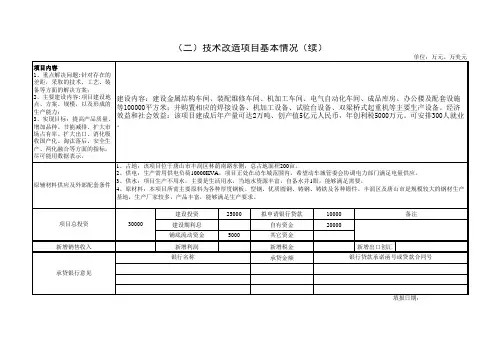 重点技术改造项目申报表