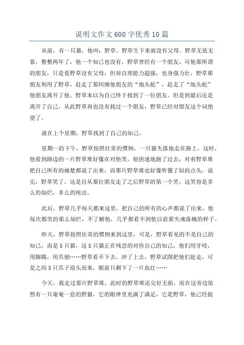 说明文作文600字优秀10篇