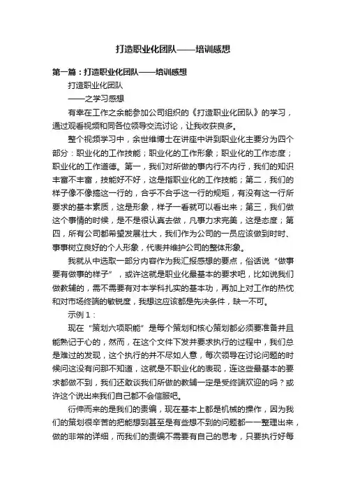 打造职业化团队——培训感想