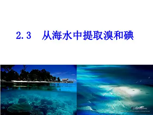 从海水中提取溴和碘
