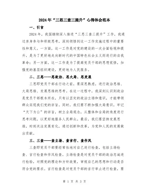 2024年“三思三查三提升”心得体会范本