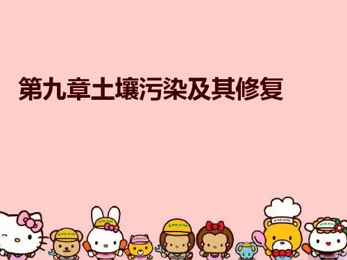 第九章土壤污染及其修复