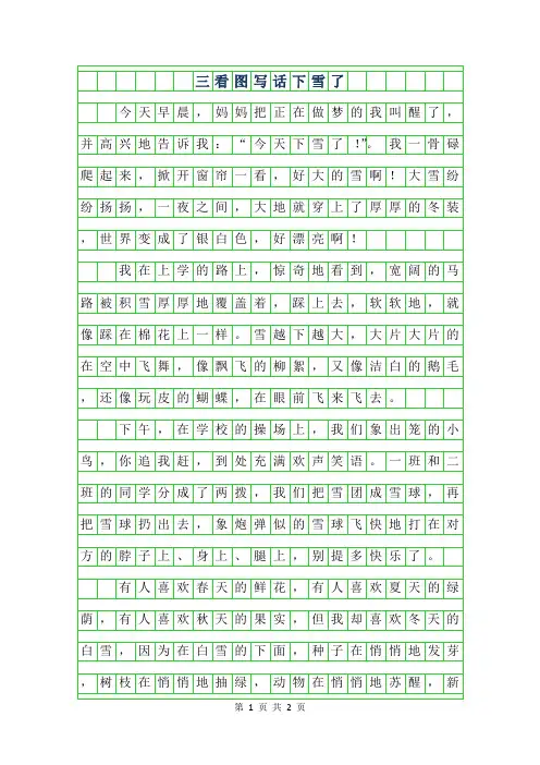 2019年三年级看图写话下雪了300字作文
