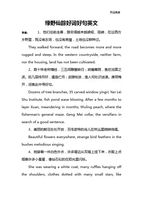 绿野仙踪好词好句英文