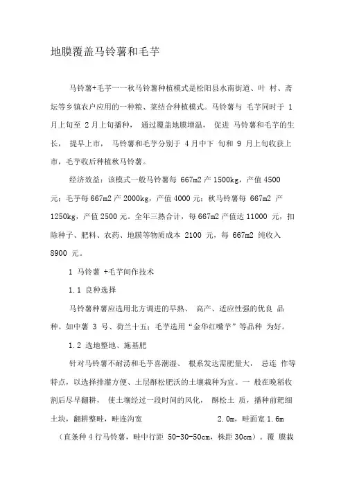 地膜覆盖马铃薯和毛芋