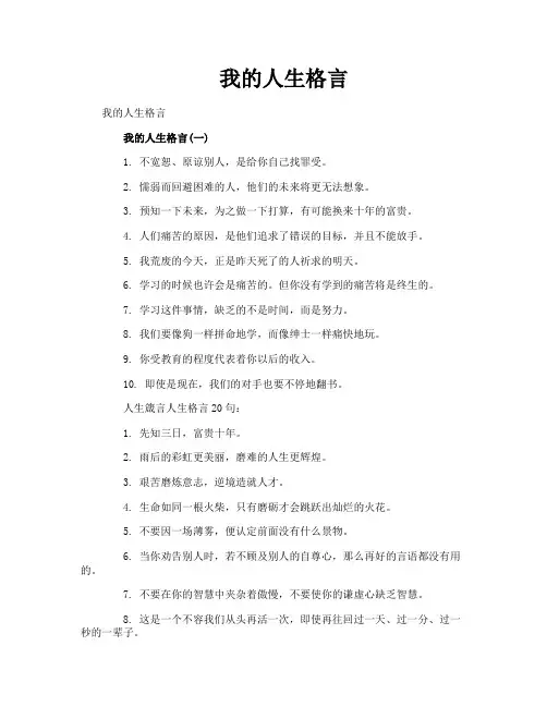 我的人生格言