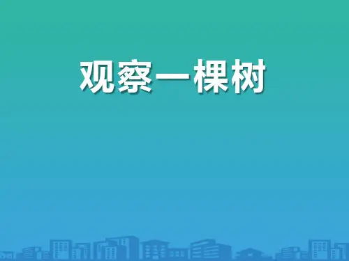 《观察一棵树》寻访校园里的动植物PPT课件3