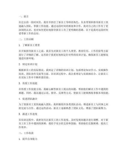 老带新个人工作总结