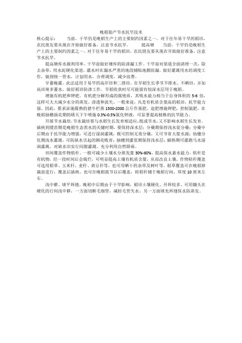 晚稻稳产节水抗旱技术