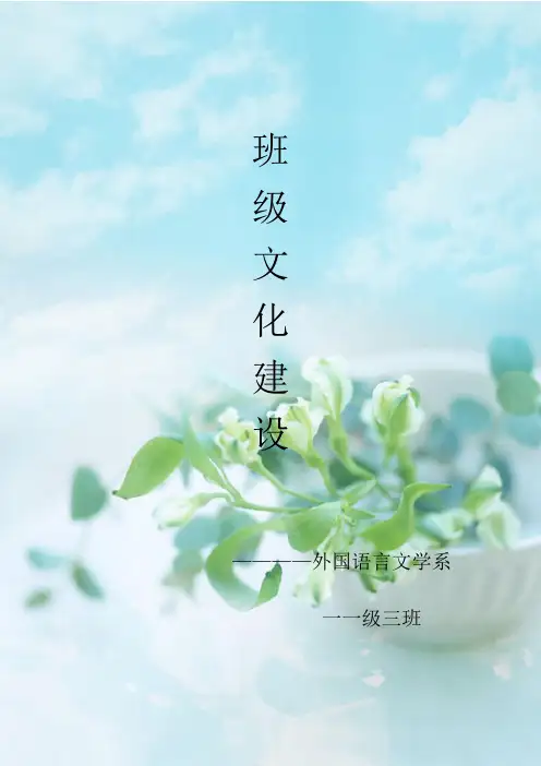 班级文化建设完整版