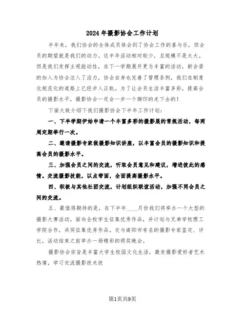 2024年摄影协会工作计划(五篇)