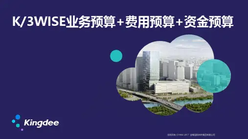 K3WISE业务预算(费用预算(资金预算