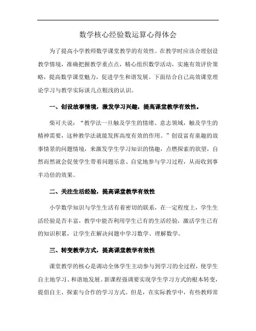 数学核心经验数运算心得体会