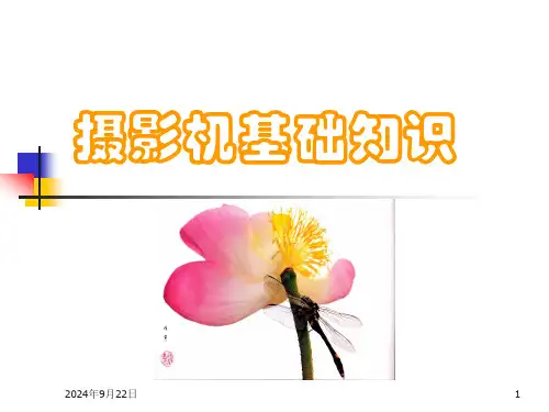 单反照相机入门普及与介绍