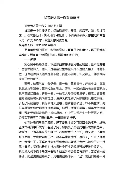 拾荒老人高一作文800字3篇