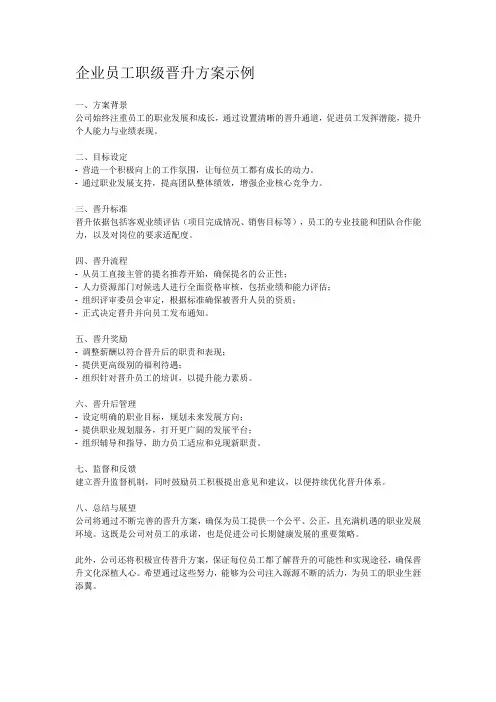 企业员工职级晋升方案示例