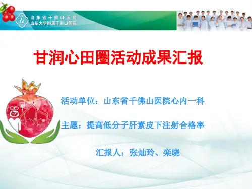 护理品管圈汇报 ppt课件