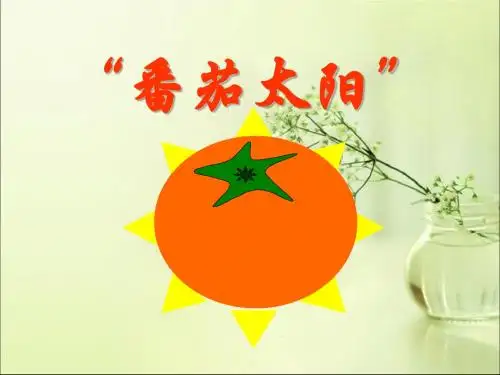《番茄太阳》PPT课件3 (共27张PPT)