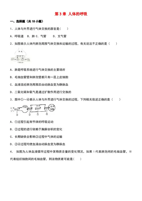 七年级生物下册第3章人体的呼吸练习(含解析)新人教版