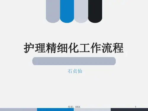 5、护理精细化工作流程PPT课件