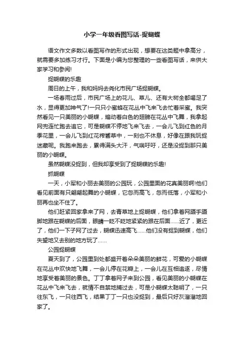 小学一年级看图写话-捉蝴蝶