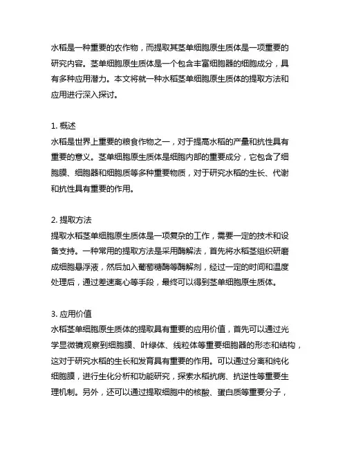 一种水稻茎单细胞原生质体的提取方法和应用