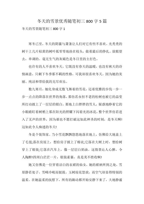 冬天的雪景优秀随笔初三800字5篇