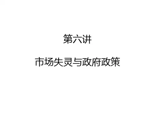 第六讲 市场失灵与政府政策