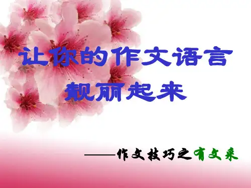 高考语文专题复习课件：作文公开课之语言训练