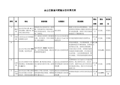 督查问题整治落实情况表-金山区