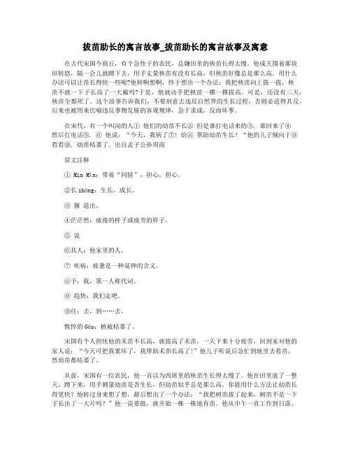 拔苗助长的寓言故事_拔苗助长的寓言故事及寓意