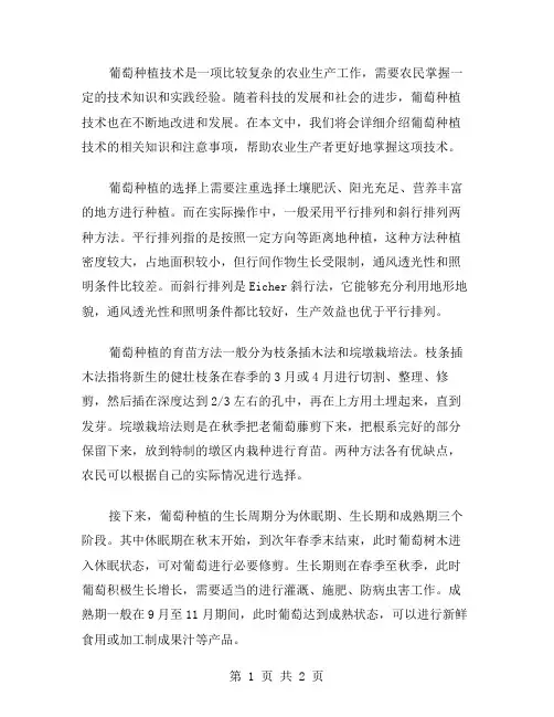 葡萄种植技术范文