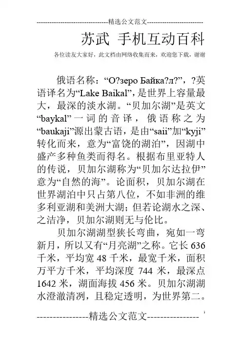 苏武 手机互动百科