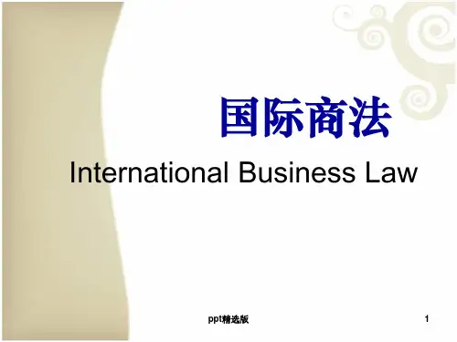 国际商法课程精(新)ppt课件