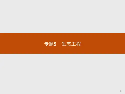 精品高中生物人教版选修3课件：《生态工程的基本原理》课件ppt