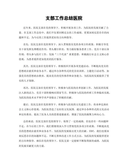支部工作总结医院