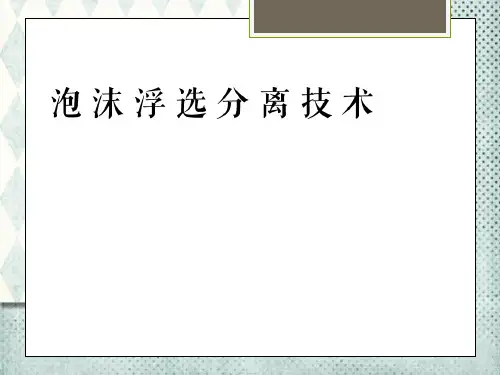 泡沫分离技术分析