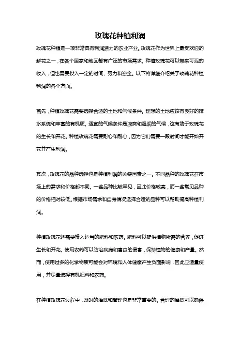 玫瑰花种植利润