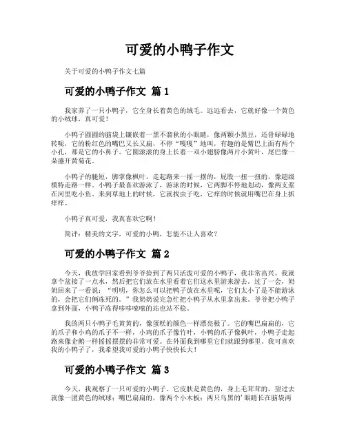 可爱的小鸭子作文 2