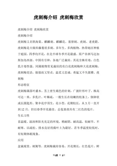 虎刺梅介绍 虎刺梅欣赏