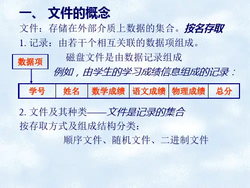 文件的概念