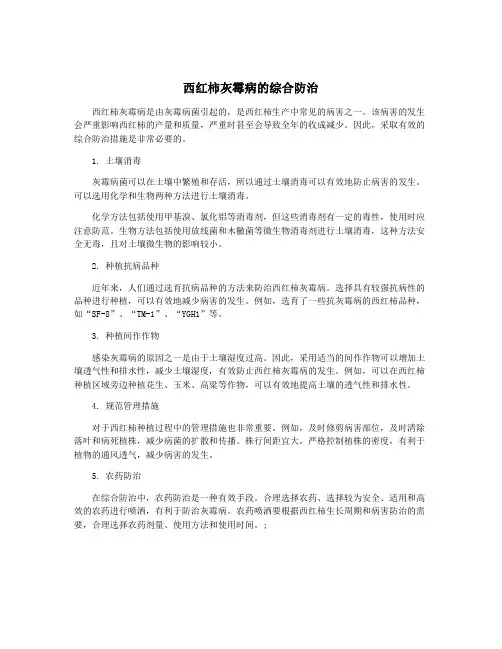 西红柿灰霉病的综合防治