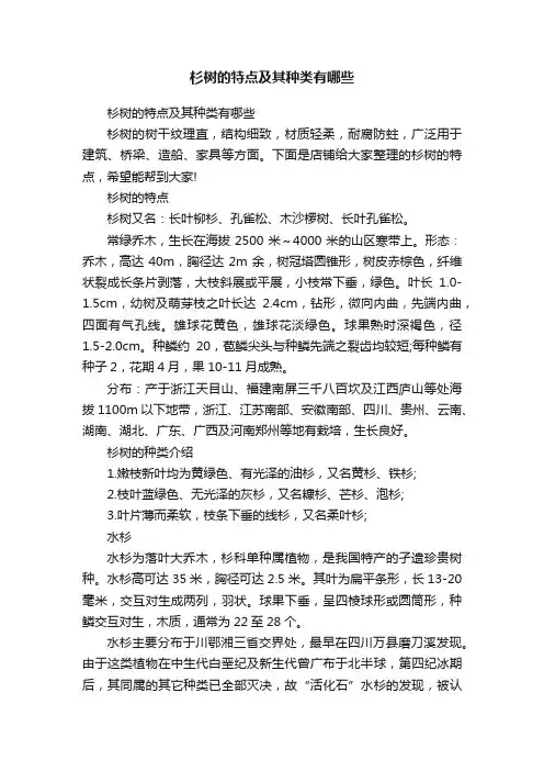 杉树的特点及其种类有哪些