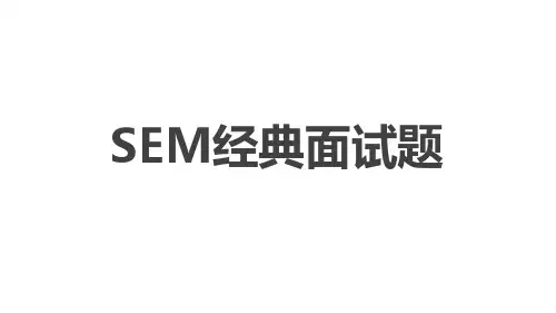SEM面试题