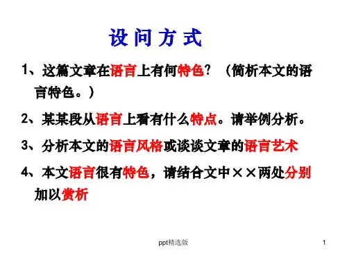 小说阅读 语言特色ppt课件