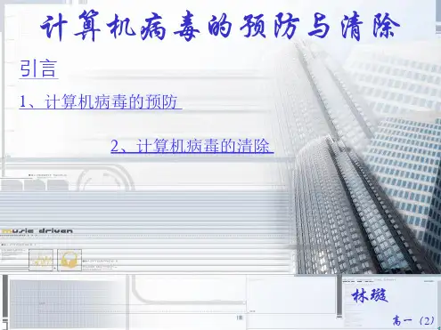 计算机病毒的预防与清除