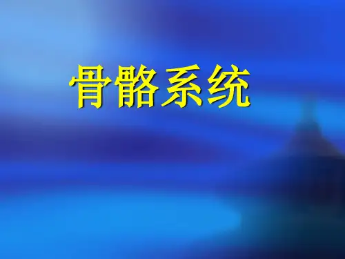 骨骼系统(7年)