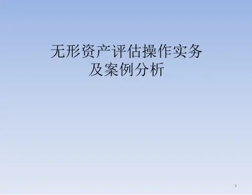 无形资产操作实务及案例分析PPT课件